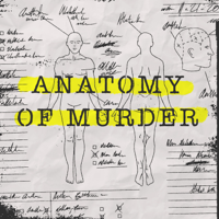 41) Anatomy of Murder